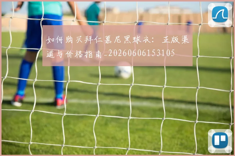如何购买拜仁慕尼黑球衣：正版渠道与价格指南_20260606153105