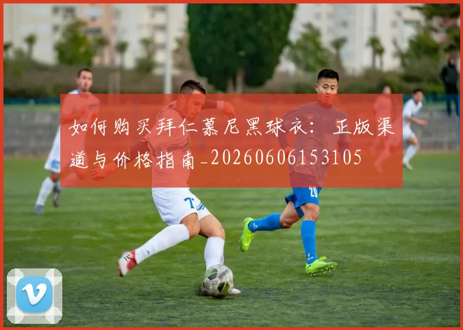如何购买拜仁慕尼黑球衣：正版渠道与价格指南_20260606153105